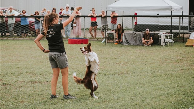 Le Grand Festival Canin de Dégelis mise sur la famille 