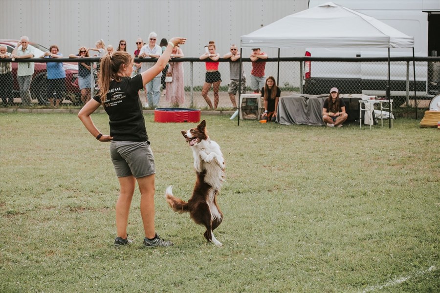 Le Grand Festival Canin de Dégelis mise sur la famille 