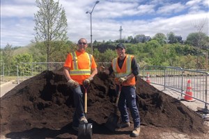 Distribution de compost et de plants d’arbres au carré Dubé 