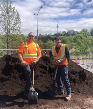 Distribution de compost et de plants d’arbres au carré Dubé 