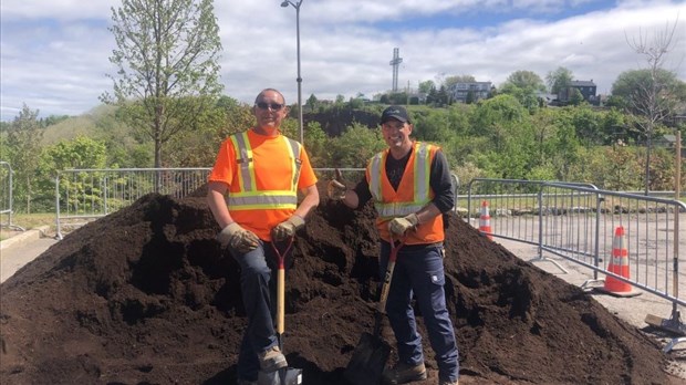 Distribution de compost et de plants d’arbres au carré Dubé 