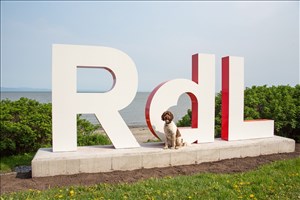 Trois lettres qui font jaser de Rivière-du-Loup
