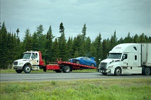 Une voiture percute un chevreuil à Rivière-du-Loup 
