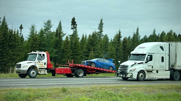 Une voiture percute un chevreuil à Rivière-du-Loup 