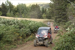 Bilan de l'opération nationale concertée quad