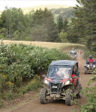 Bilan de l'opération nationale concertée quad