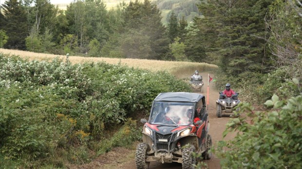 Bilan de l'opération nationale concertée quad